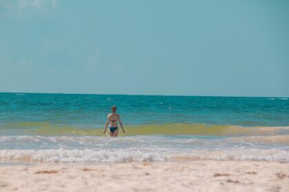 Preserving Tulum: A Key Area for Jaguar Protection