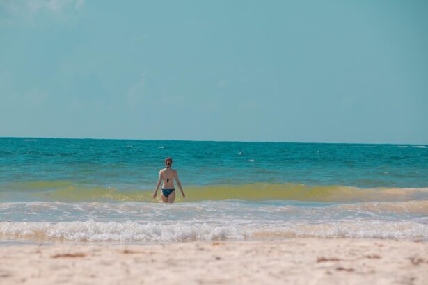 Preserving Tulum: A Key Area for Jaguar Protection