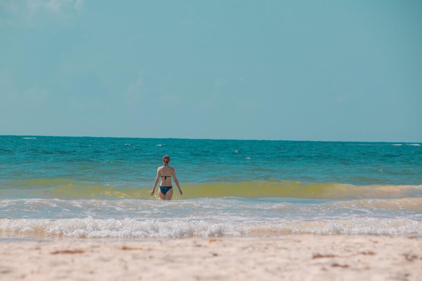 Preserving Tulum: A Key Area for Jaguar Protection