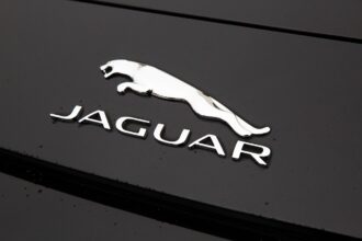 Nutritional Needs of Rehabilitated Jaguars: Feeding the Future