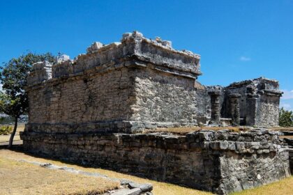Challenges Facing Jaguar Conservation in Tulum