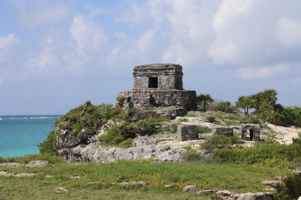 The Tulum Region: A Vital Habitat for Jaguars and Biodiversity
