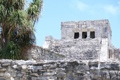 Habitat Loss and Jaguar Survival: The Crucial Role of Tulum