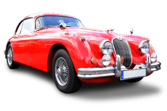 Jaguars and Their Adaptations to Different Environments