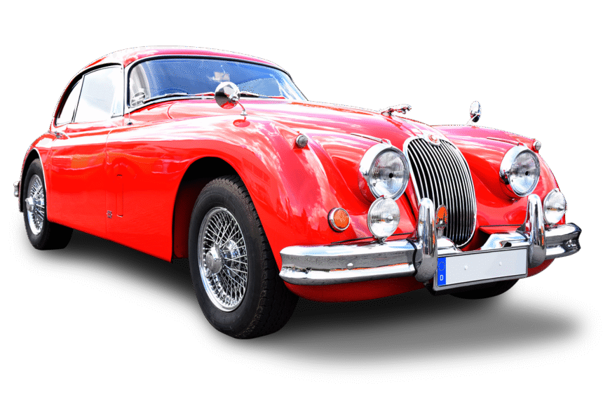 Jaguars and Their Adaptations to Different Environments