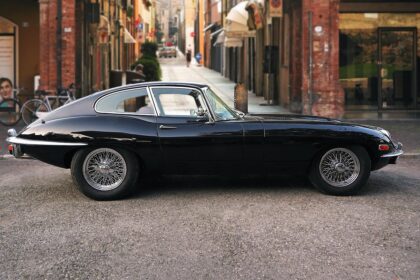 The Unique Role of Jaguars in Their Ecosystem