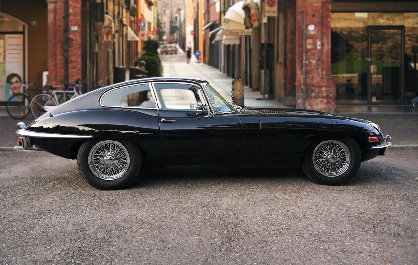 The Unique Role of Jaguars in Their Ecosystem
