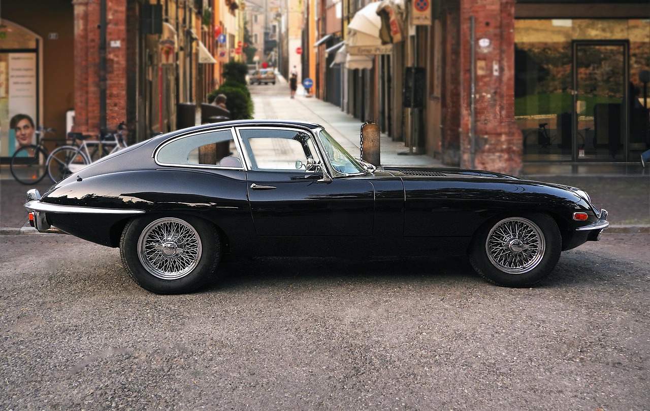 The Unique Role of Jaguars in Their Ecosystem