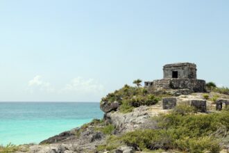 Tulum's Unique Ecosystem: A Haven for Jaguars and Other Wildlife