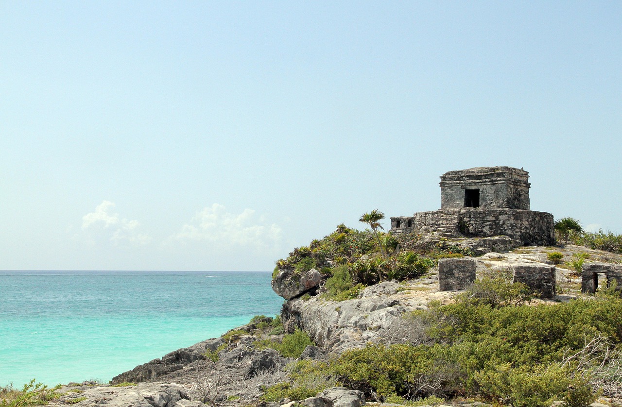 Tulum's Unique Ecosystem: A Haven for Jaguars and Other Wildlife